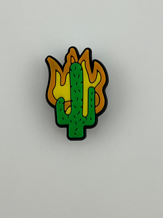 Mexican-Flaming Cactus
